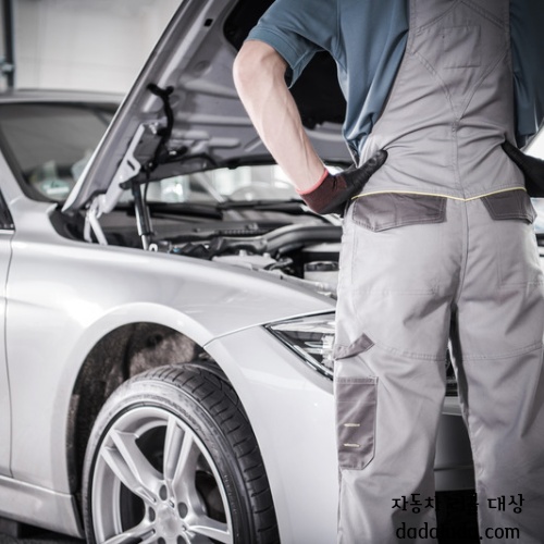 테슬라 기아 현대 BYD 포드 황해 리콜