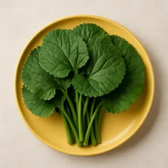 곰취 먹는방법 쌈 무침 장아찌 만드는법 요리 데치는방법_6