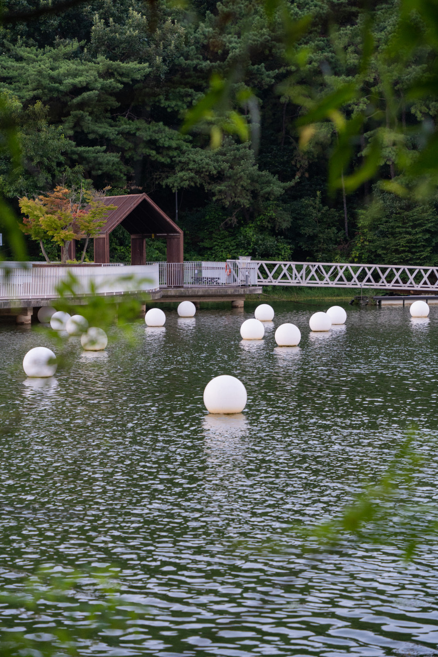 신대호수 정겨운 다리