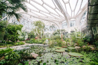 서울 가볼만한 곳 서울식물원