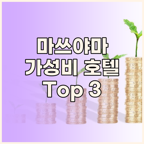 가성비 갑! 마쓰야마 호텔 Top 3