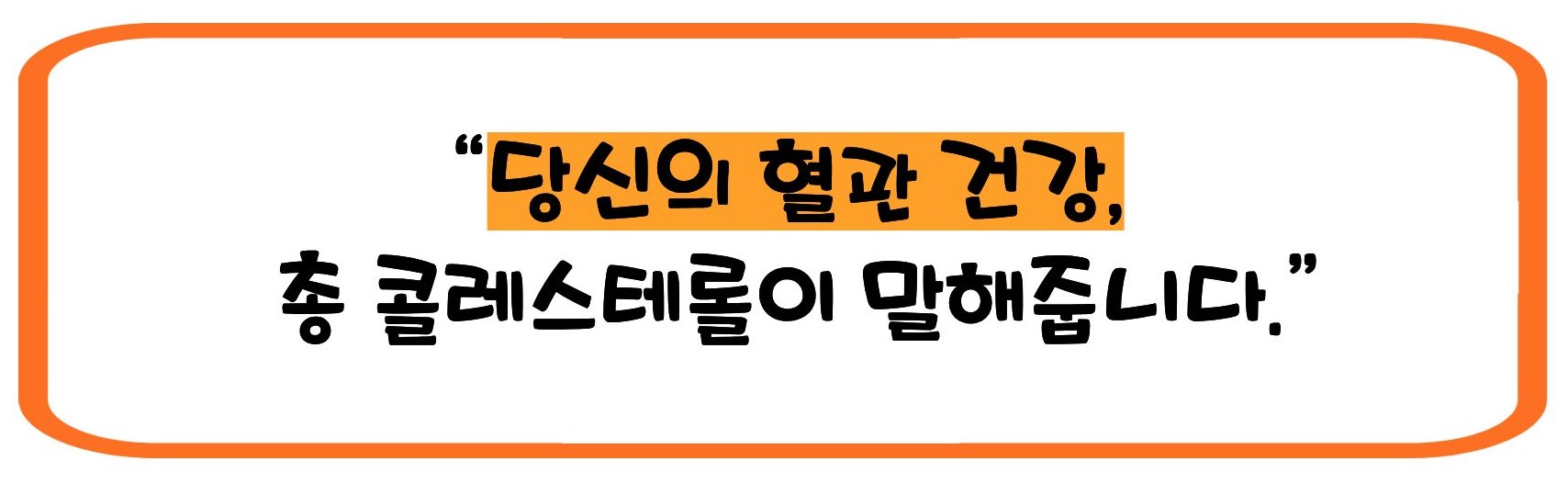 총 콜레스테롤 이란