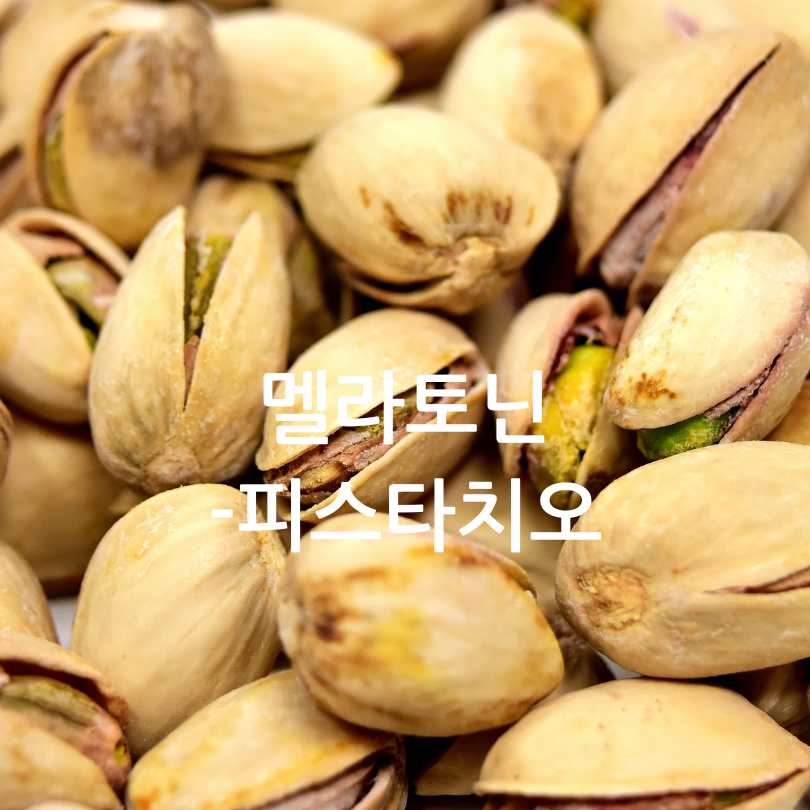 멜라토닌 많은 음식 10가지