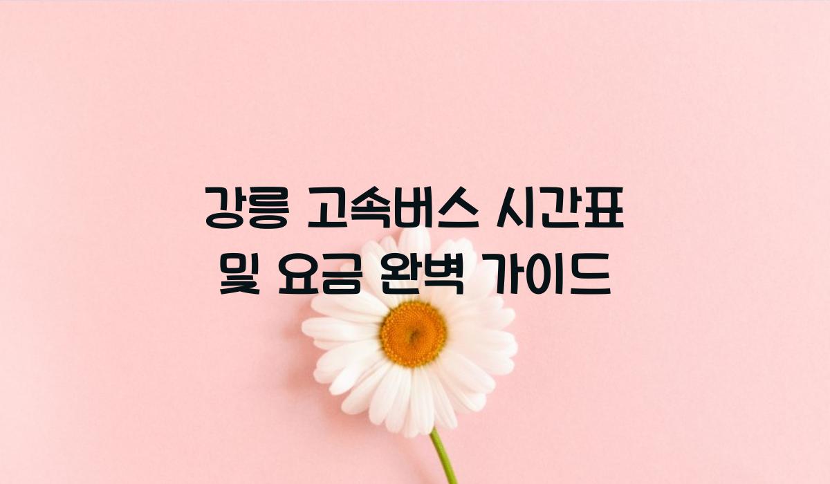 강릉 고속버스 시간표
