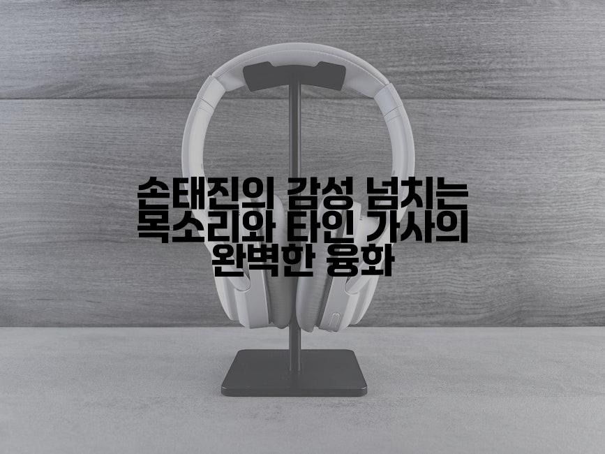 손태진의 감성 넘치는 목소리와 타인 가사의 완벽한 융화