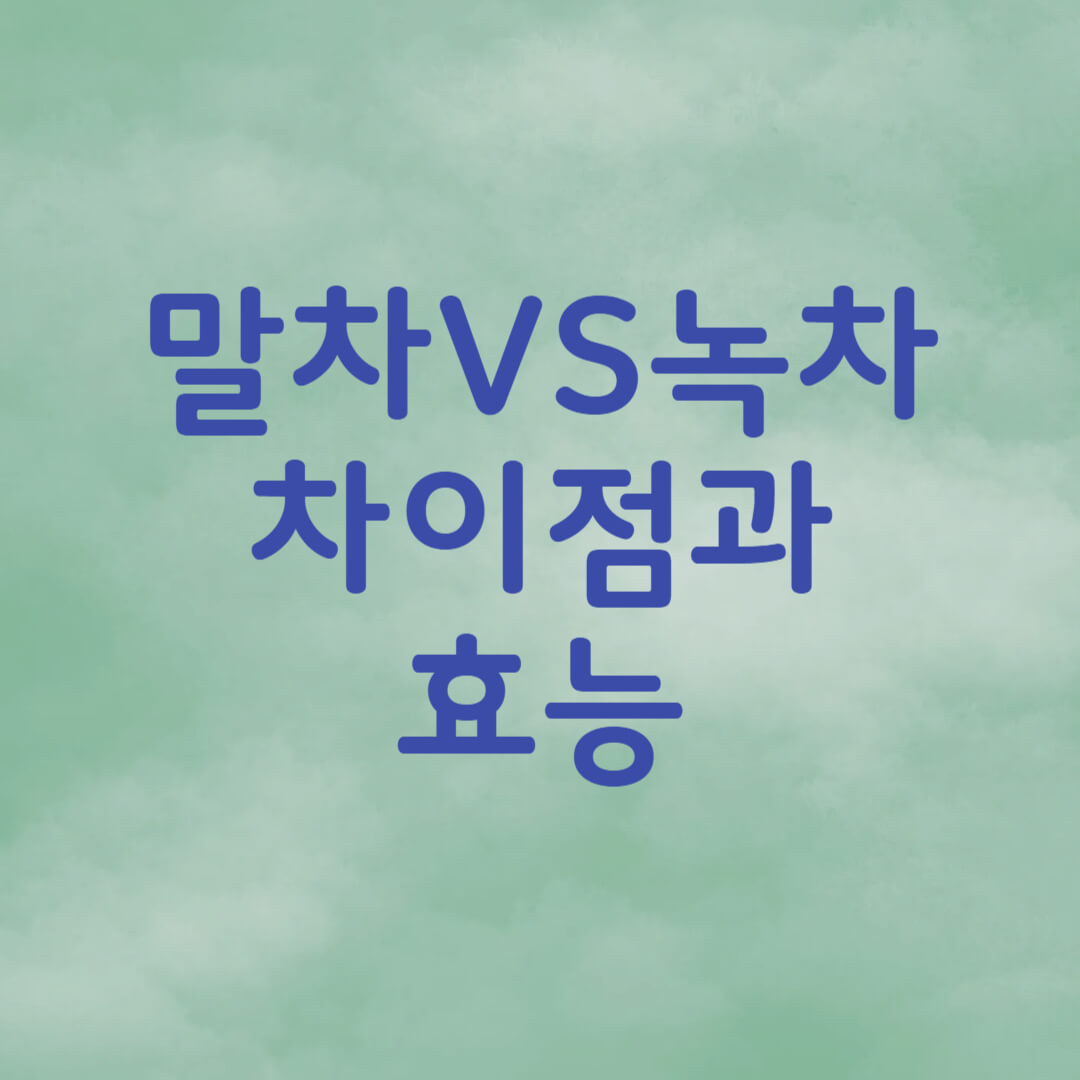 말차 녹차 차이점과 효능