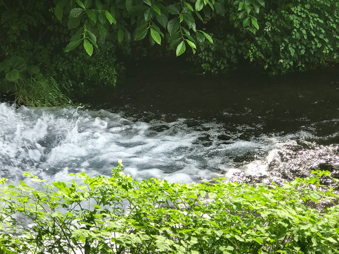강물이 바다로 흘러 들어가는 순간