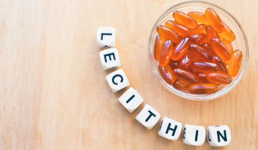 레시틴/출처:어도비스톡