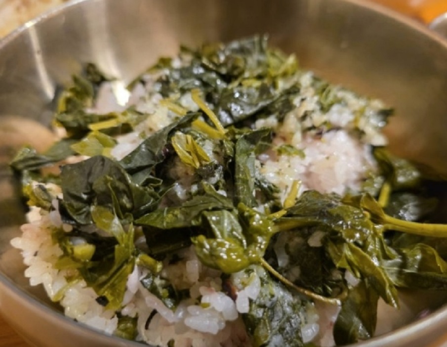 백반기행-충주-뽕잎밥