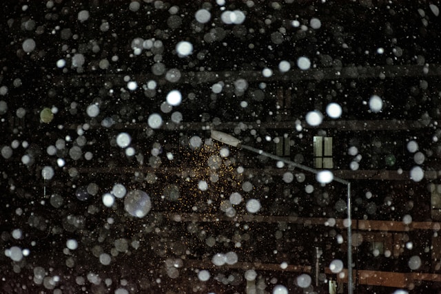 대설주의보 대설경보 차이 기준과 필수 대처법