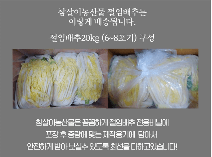 절임배추
