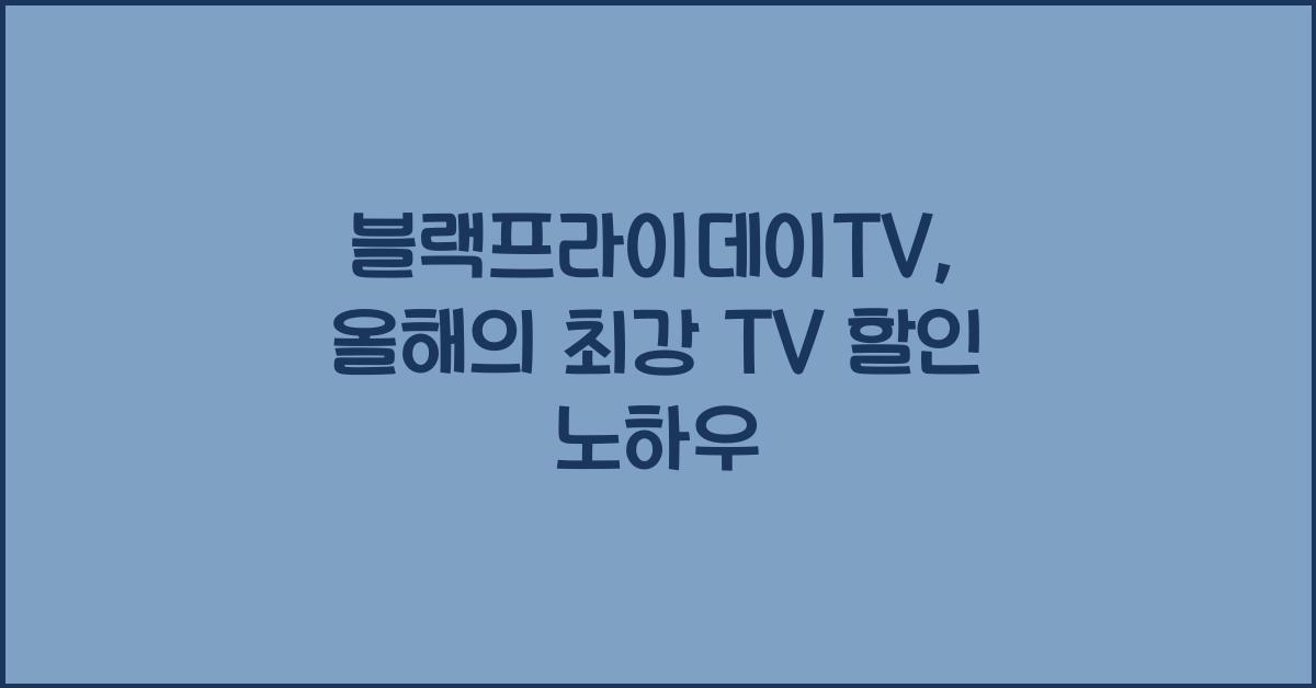 블랙프라이데이TV