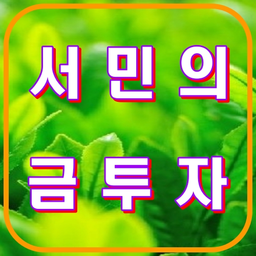 서민의금투자