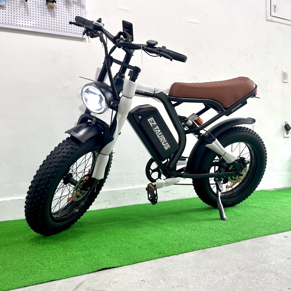 수원 전기자전거 판매점: 이지베이션 타우러스 BS슬릭 가성비 자토바이 매장