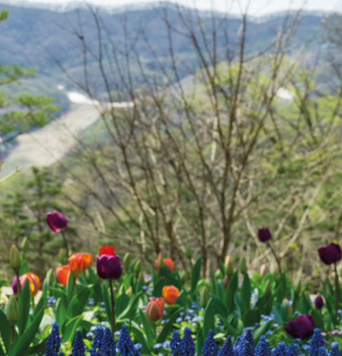화담숲 주변 맛집 가볼만한곳