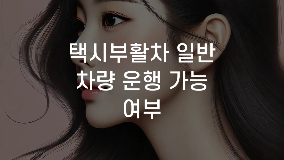 택시부활차 일반 차량 운행 가능 여부