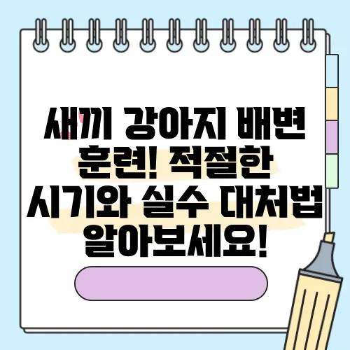 새끼 강아지 배변 훈련! 적절한 시기와 실수 대처법 알아보세요!