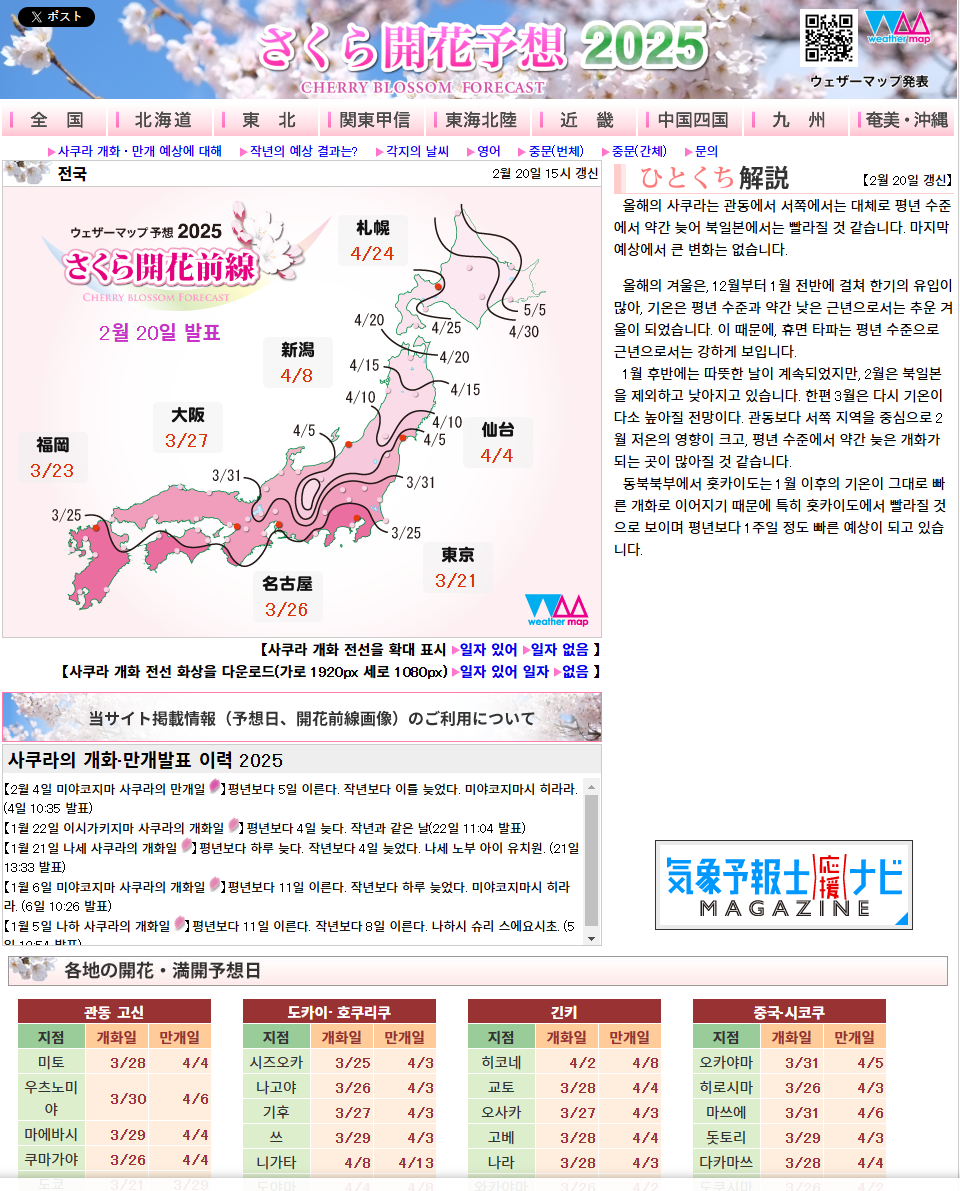 오사카 벚꽃 개화시기111