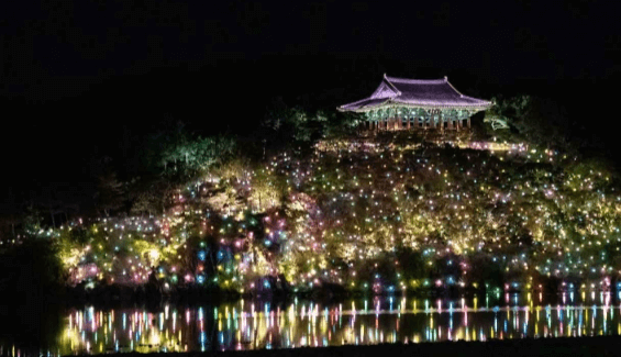 축제 가볼만한 곳