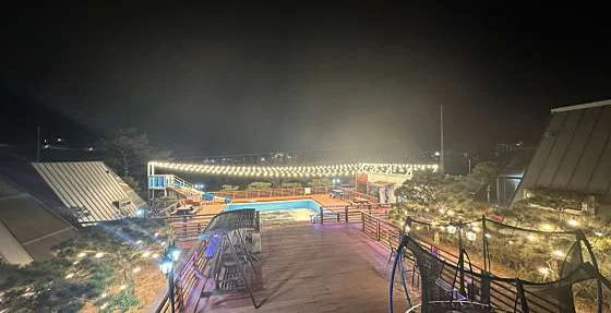 세모난나무