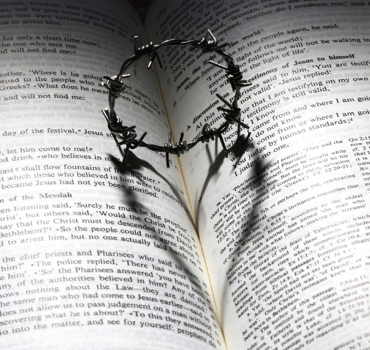 CTM 성경 타자 동톡 이용 방법