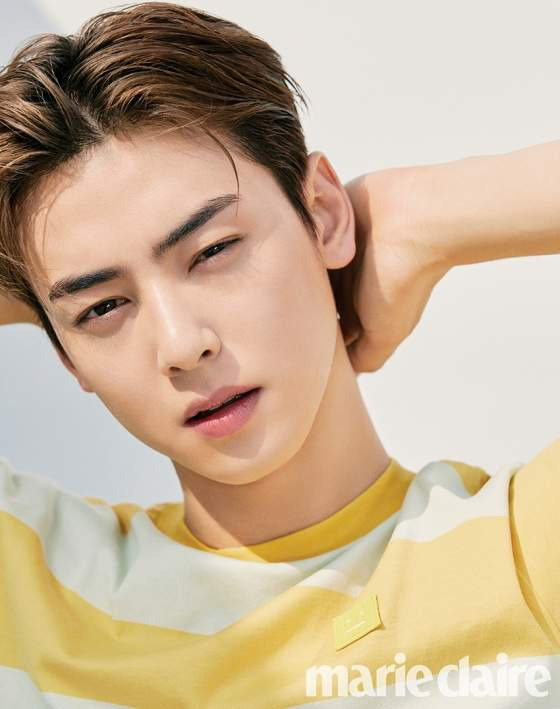 차은우 조세심판원 청구 승소 확률과 행정소송 3대 시나리오 정밀 예측, 낸 돈 130억 다시 돌려받을까?