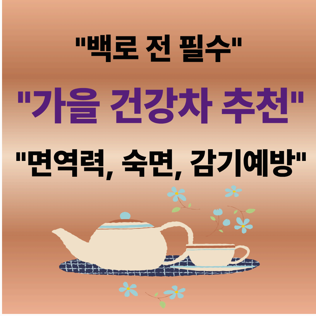 백로 전 가을 건강차 추천