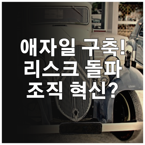 조직 문화의 윈터타이어 전략 위험 감..