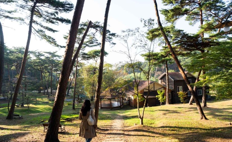 태안 가볼만한곳 베스트10