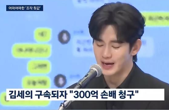김세의 구속적부심