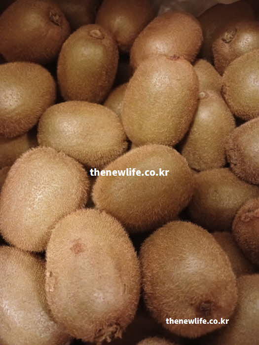 키위 효능 혈관 건강 칼륨 폴리페놀