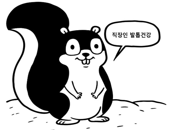 직장인 발톱건강에 대한 원인 및 해결방법을 알려준는 다람쥐