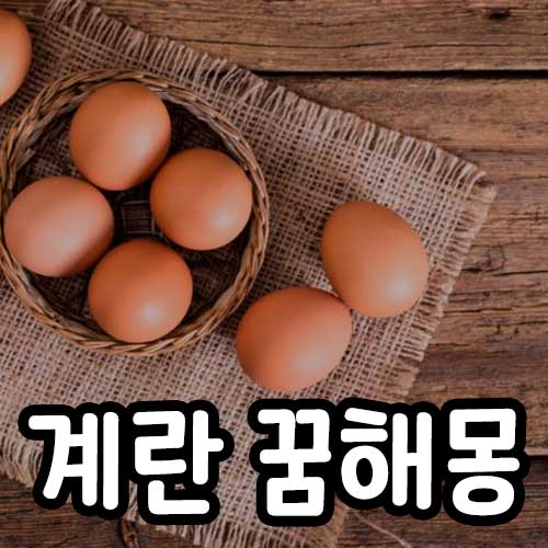 계란꿈해몽