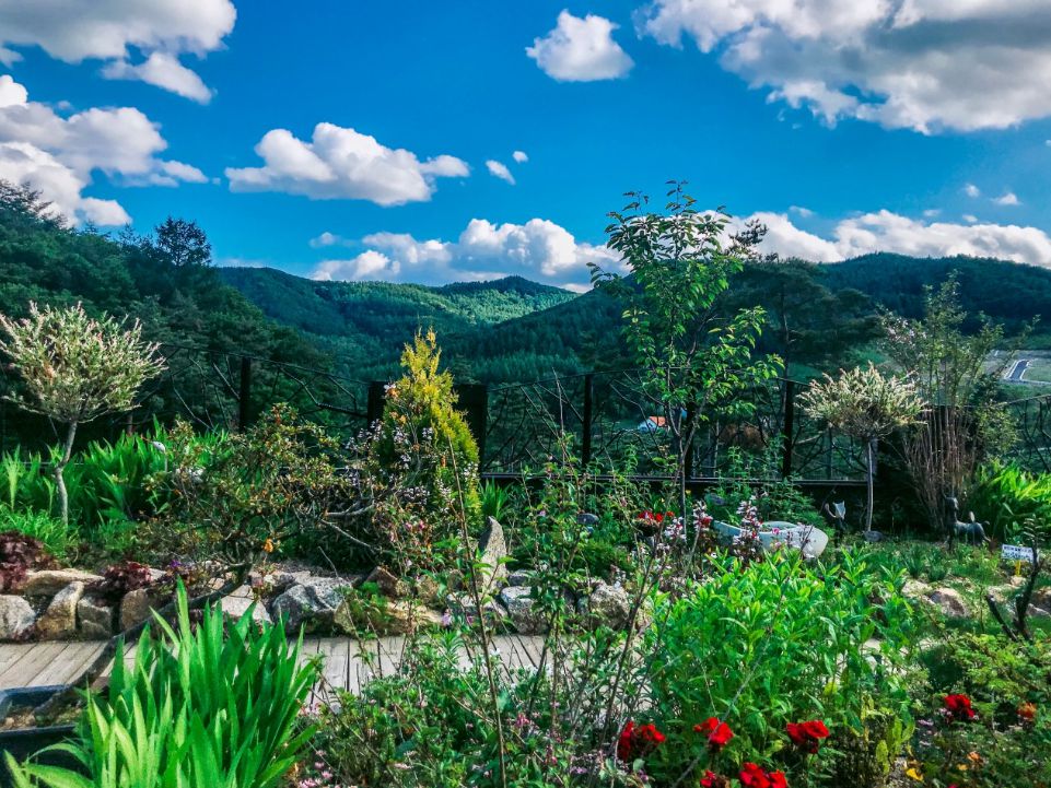 평창 보타닉가든