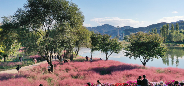 2024년 자라섬 꽃 페스타 일정