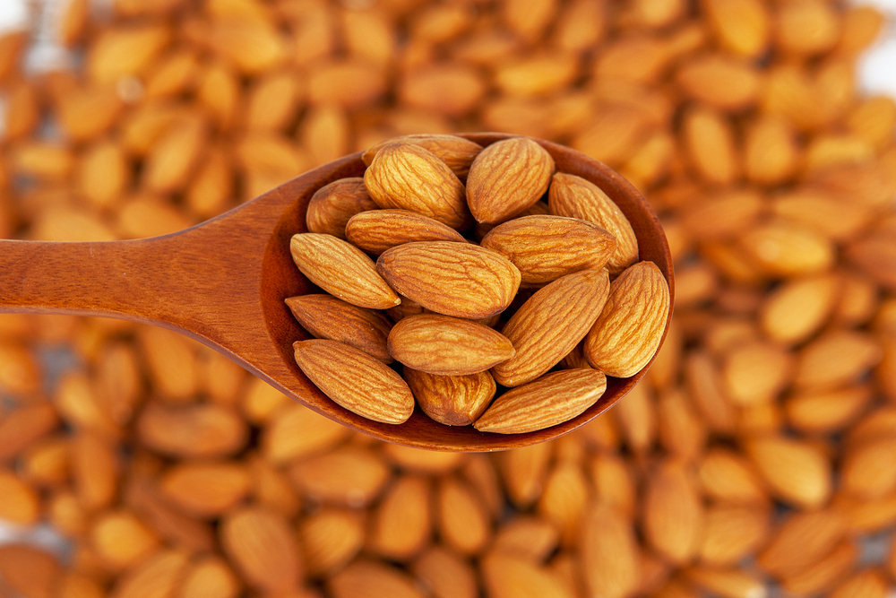 단백질 많은 음식 8가지