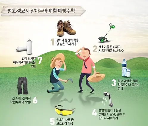 벌초-성묘-작업-예방수칙