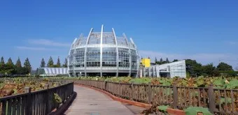 무안 가볼만한곳 베스트10 현지인 추천 필수코스_22