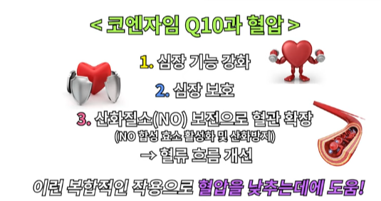코엔자임큐텐