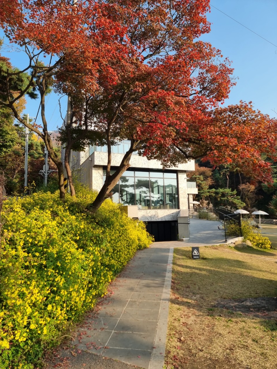 키스톤 스피시즈