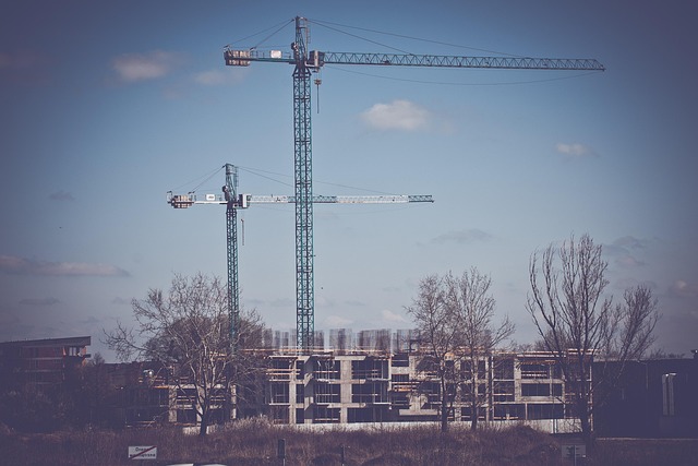 소수민족과 도시화