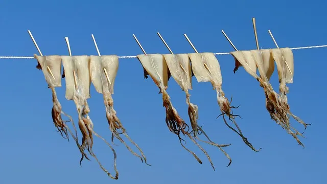 강릉 맛집 추천 여행코스에 포함하기 좋은 식당 리스트_7