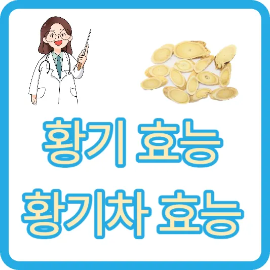 황기 효능 주름개선 면역력 강화 황기차 끓이는법