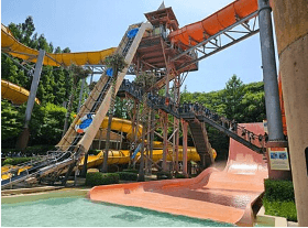 캐리비안베이 입장료&amp;#44; 할인 방법 (50%)