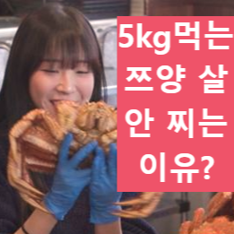 쯔양 살 안 찌는 이유 ❘ 야식 먹기 vs 스트레스