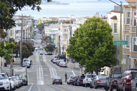 프란치스코 교황 분향소