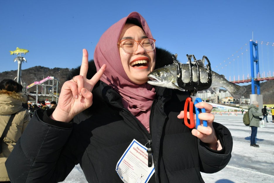 추울수록 겨울축제 흥행은 쑥쑥 화천산천어축제 평창송어축제