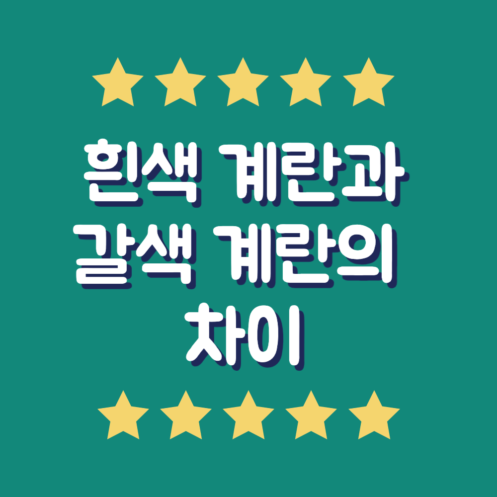 흰색 계란과 갈색 계란의 차이