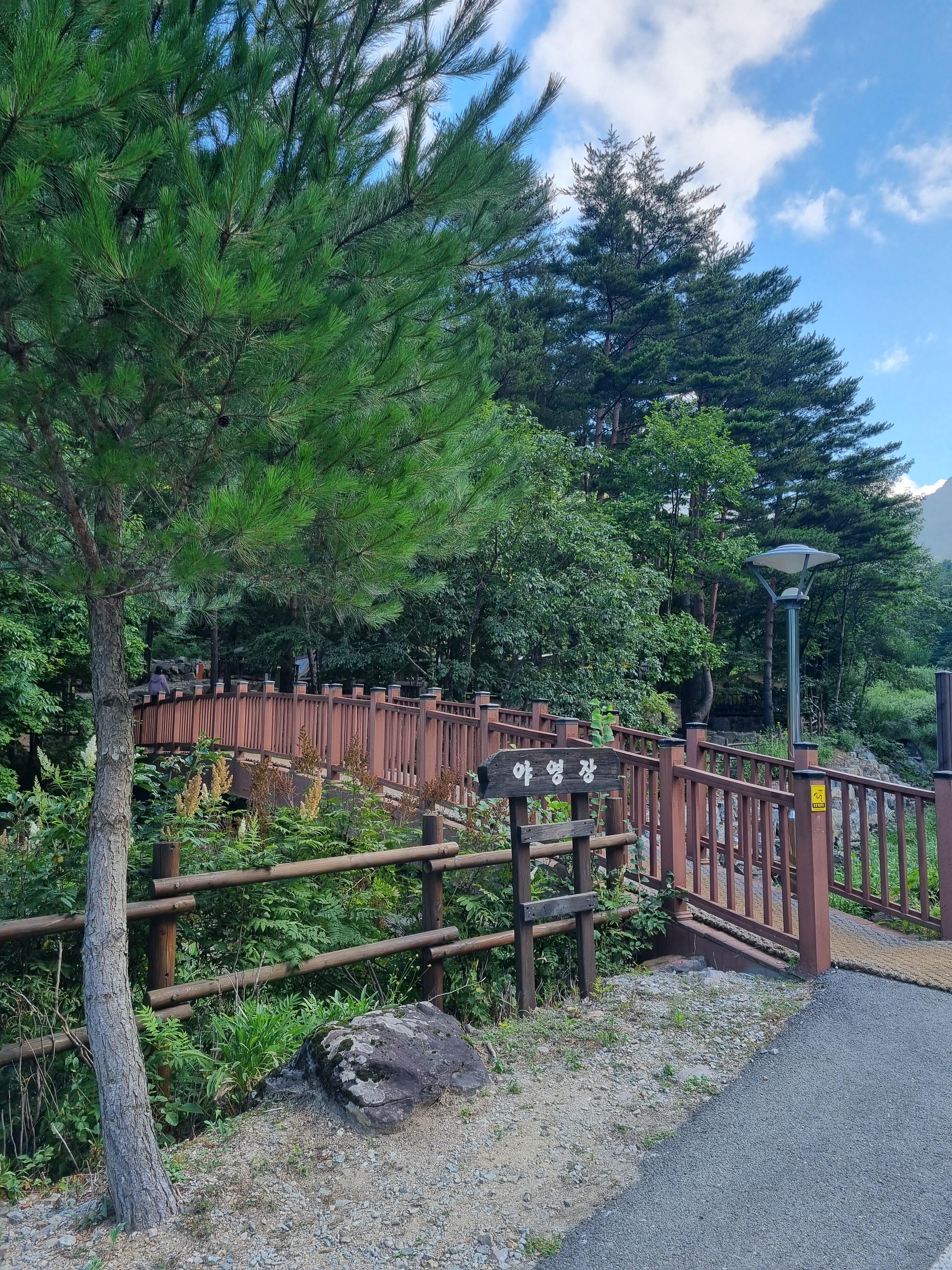 두타산자연휴양림 야영장 다리