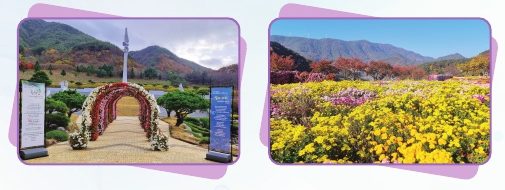 제2공간 - 성역으로의 초대